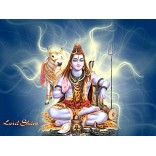Lord Shiva meditating